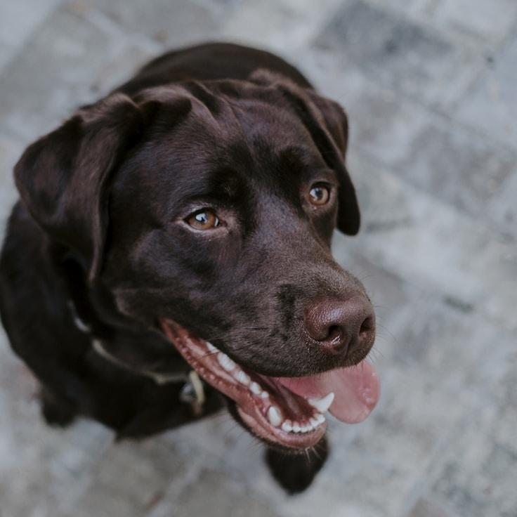 Emma Martin - Founder of Summer Quartz Line